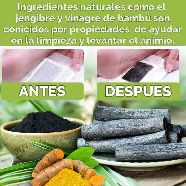 Parches de Limpieza de Toxinas